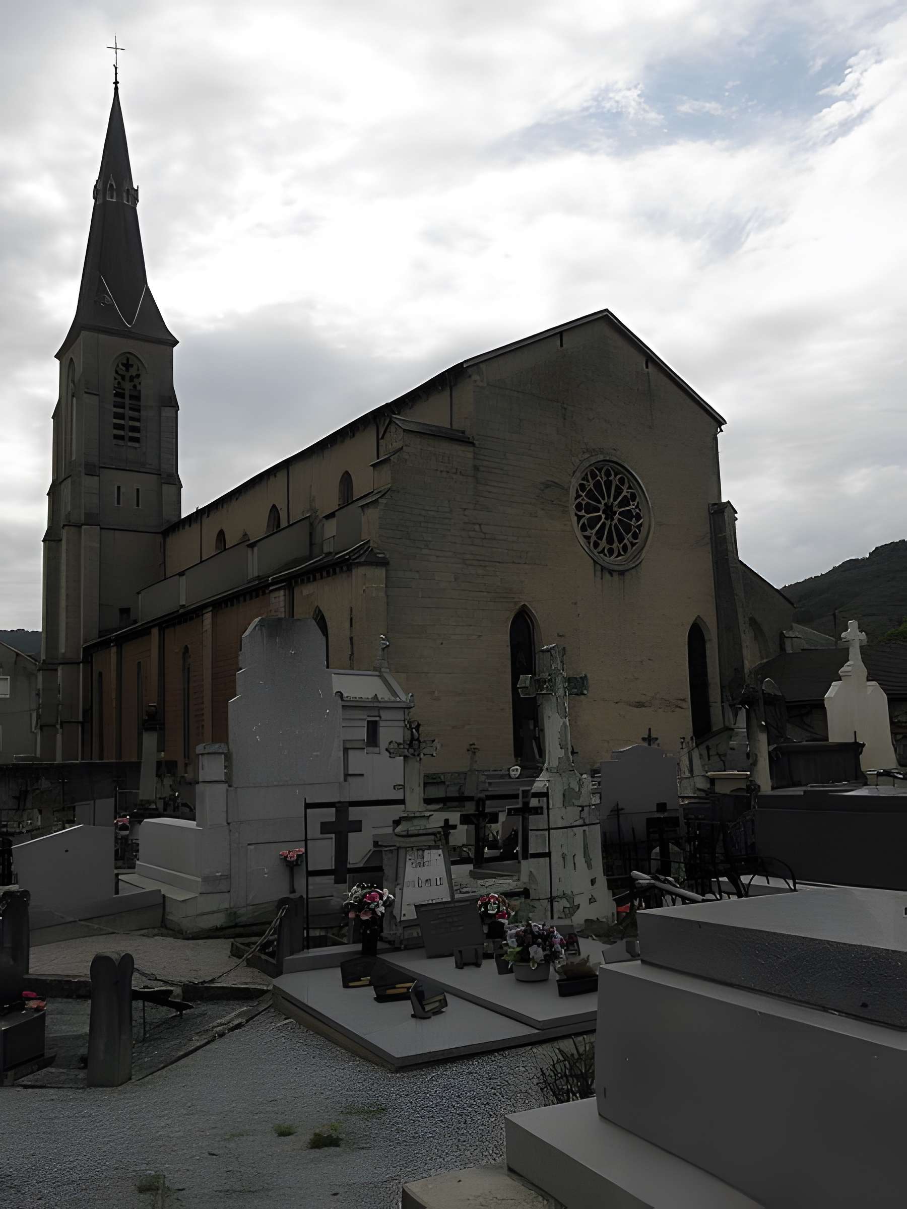 Cathédrale Saint-Sauveur de Vabres-l'Abbaye