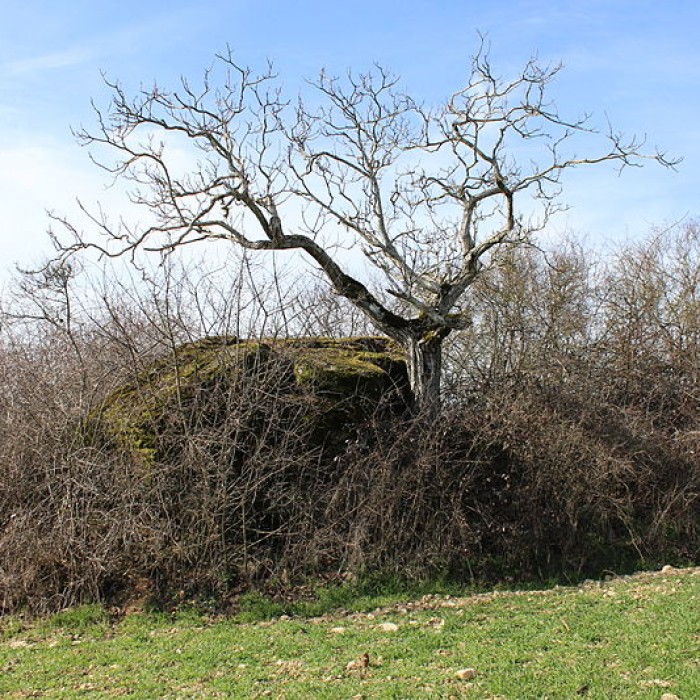 Photo de La pierre erratique de Chozeau ou meulière dite La Chaise du Seigneur