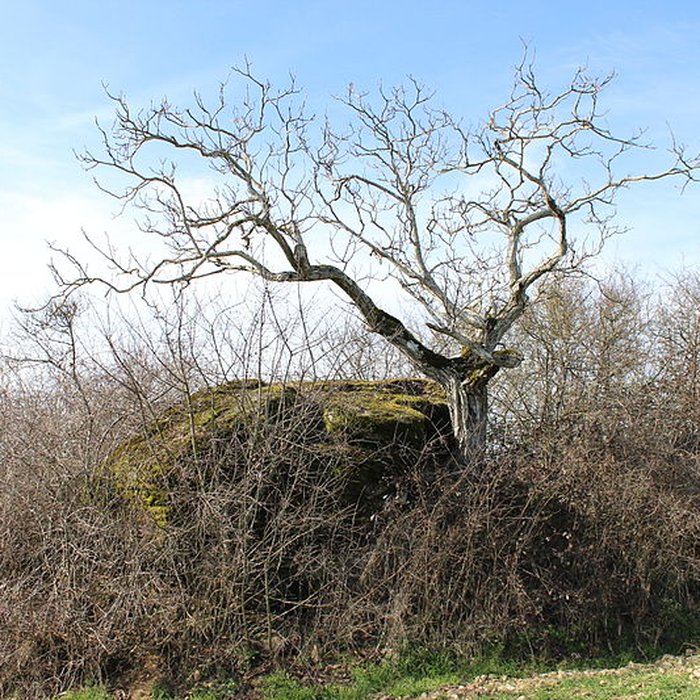 Photo de La pierre erratique de Chozeau ou meulière dite La Chaise du Seigneur