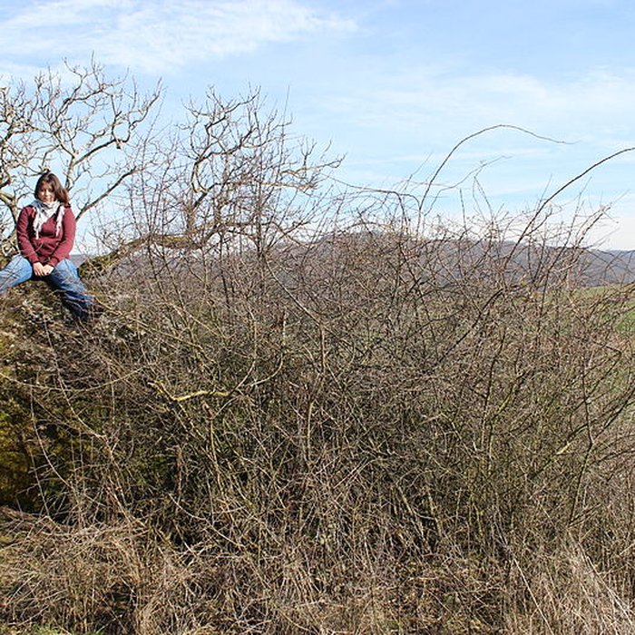 Photo de La pierre erratique de Chozeau ou meulière dite La Chaise du Seigneur