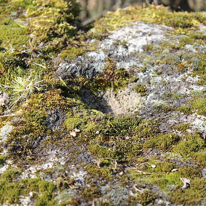 Photo de La pierre erratique de Chozeau ou meulière dite La Chaise du Seigneur
