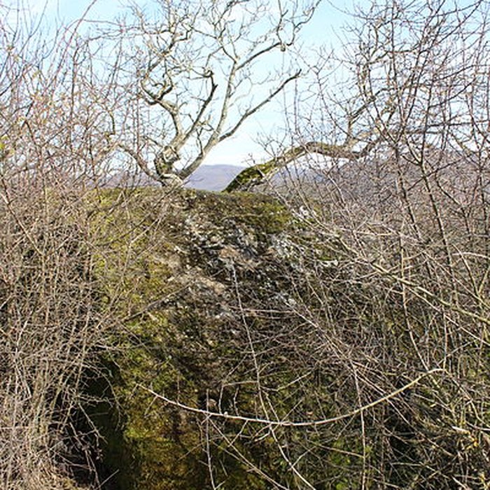 Photo de La pierre erratique de Chozeau ou meulière dite La Chaise du Seigneur