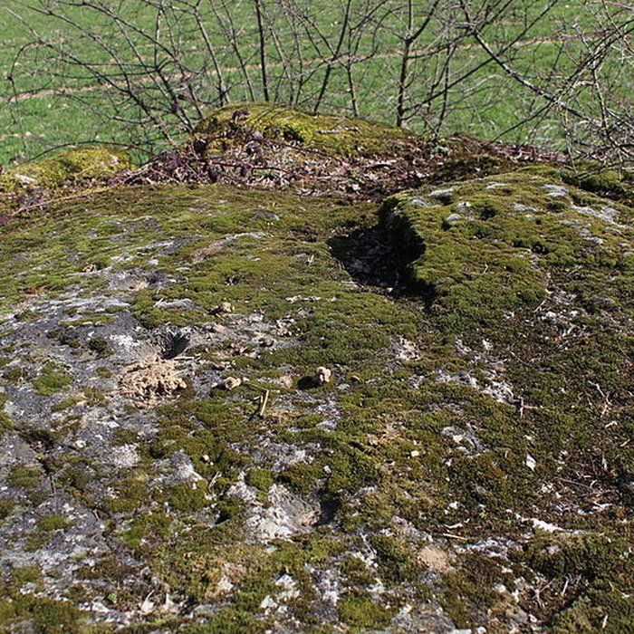 Photo de La pierre erratique de Chozeau ou meulière dite La Chaise du Seigneur