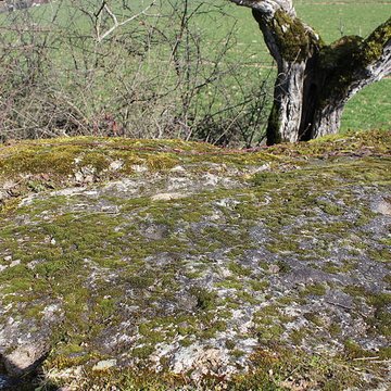 La pierre erratique de Chozeau ou meulière dite La Chaise du Seigneur