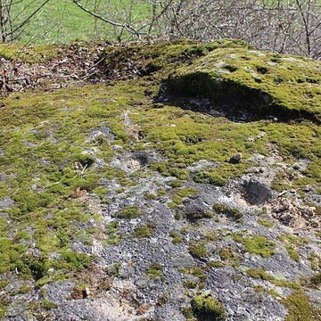 La pierre erratique de Chozeau ou meulière dite La Chaise du Seigneur