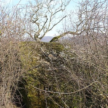 La pierre erratique de Chozeau ou meulière dite La Chaise du Seigneur