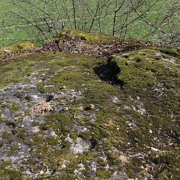 La pierre erratique de Chozeau ou meulière dite La Chaise du Seigneur
