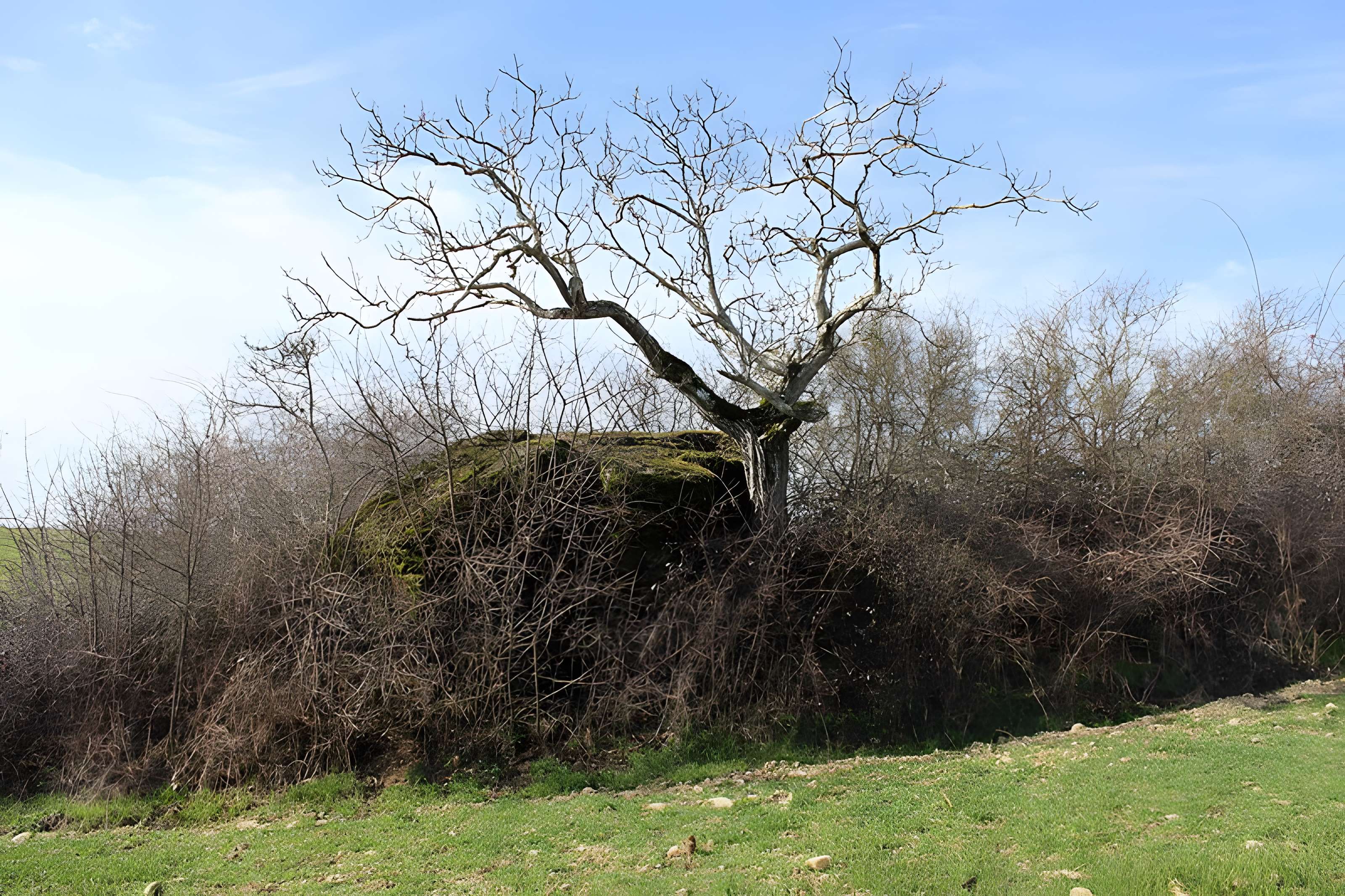 Chaise du Seigneur de Chozeau 
