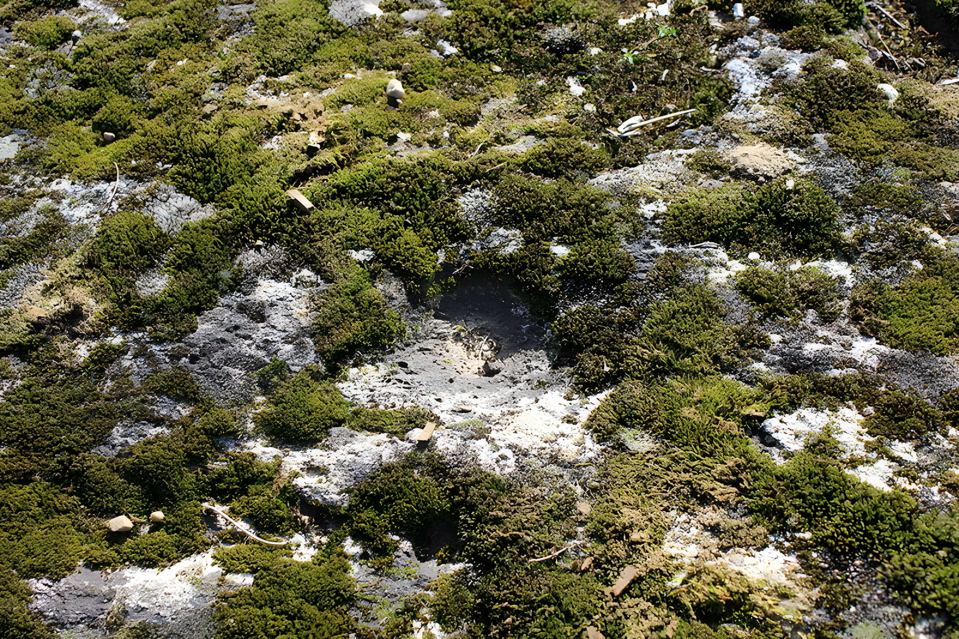 La pierre erratique de Chozeau ou meulière dite La Chaise du Seigneur