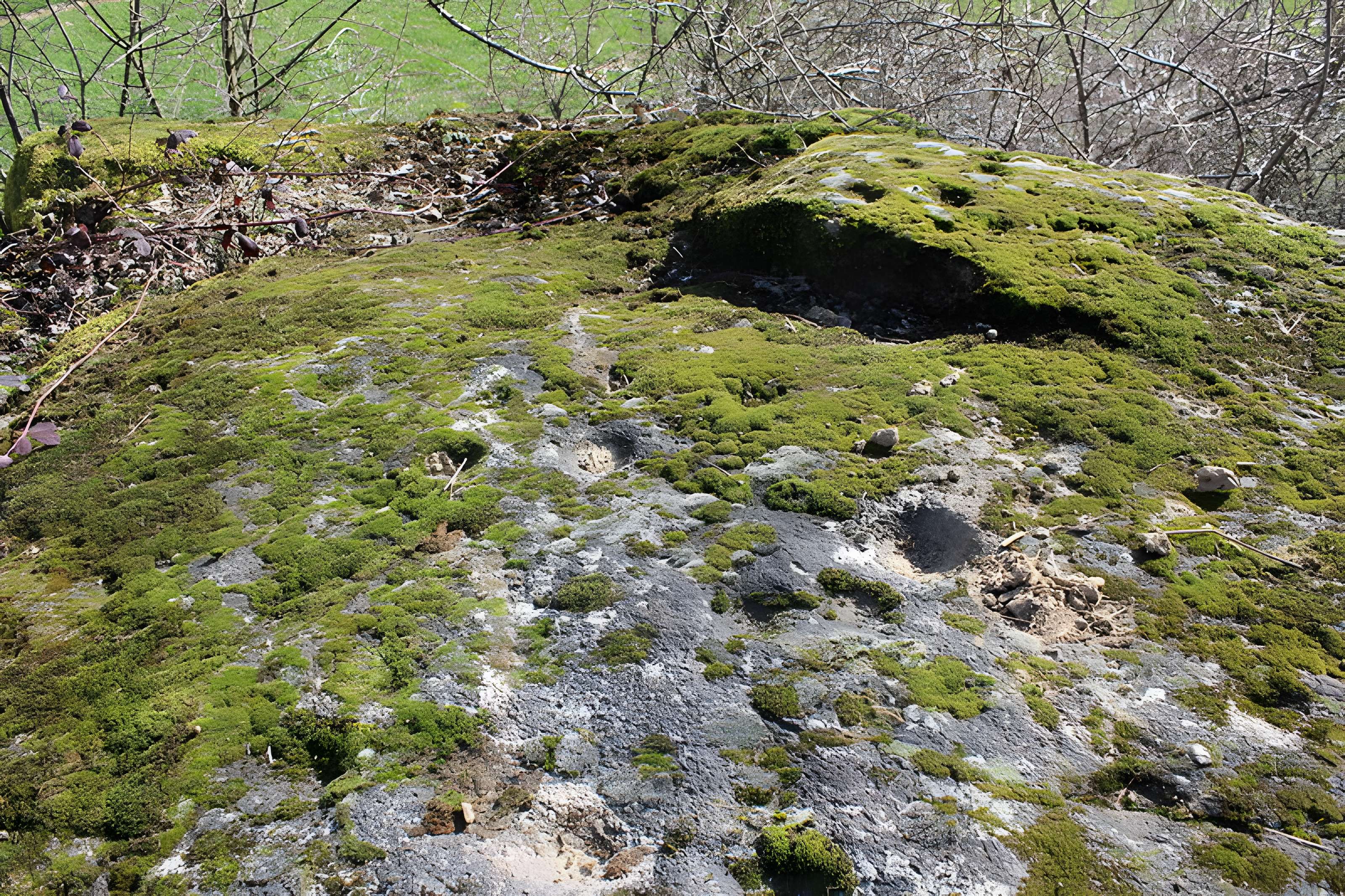 La pierre erratique de Chozeau ou meulière dite La Chaise du Seigneur