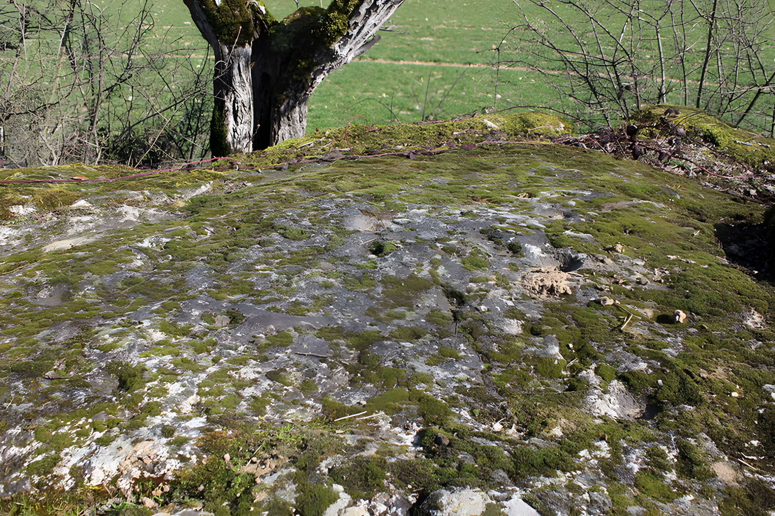 La pierre erratique de Chozeau ou meulière dite La Chaise du Seigneur