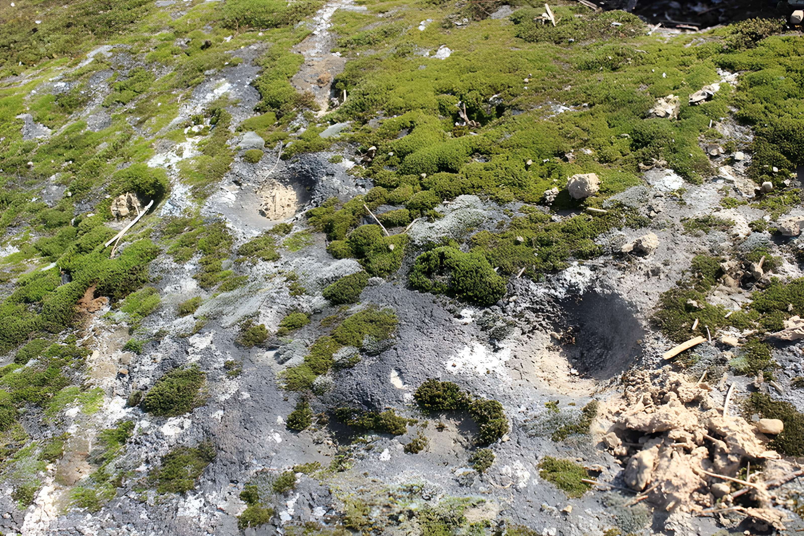 La pierre erratique de Chozeau ou meulière dite La Chaise du Seigneur