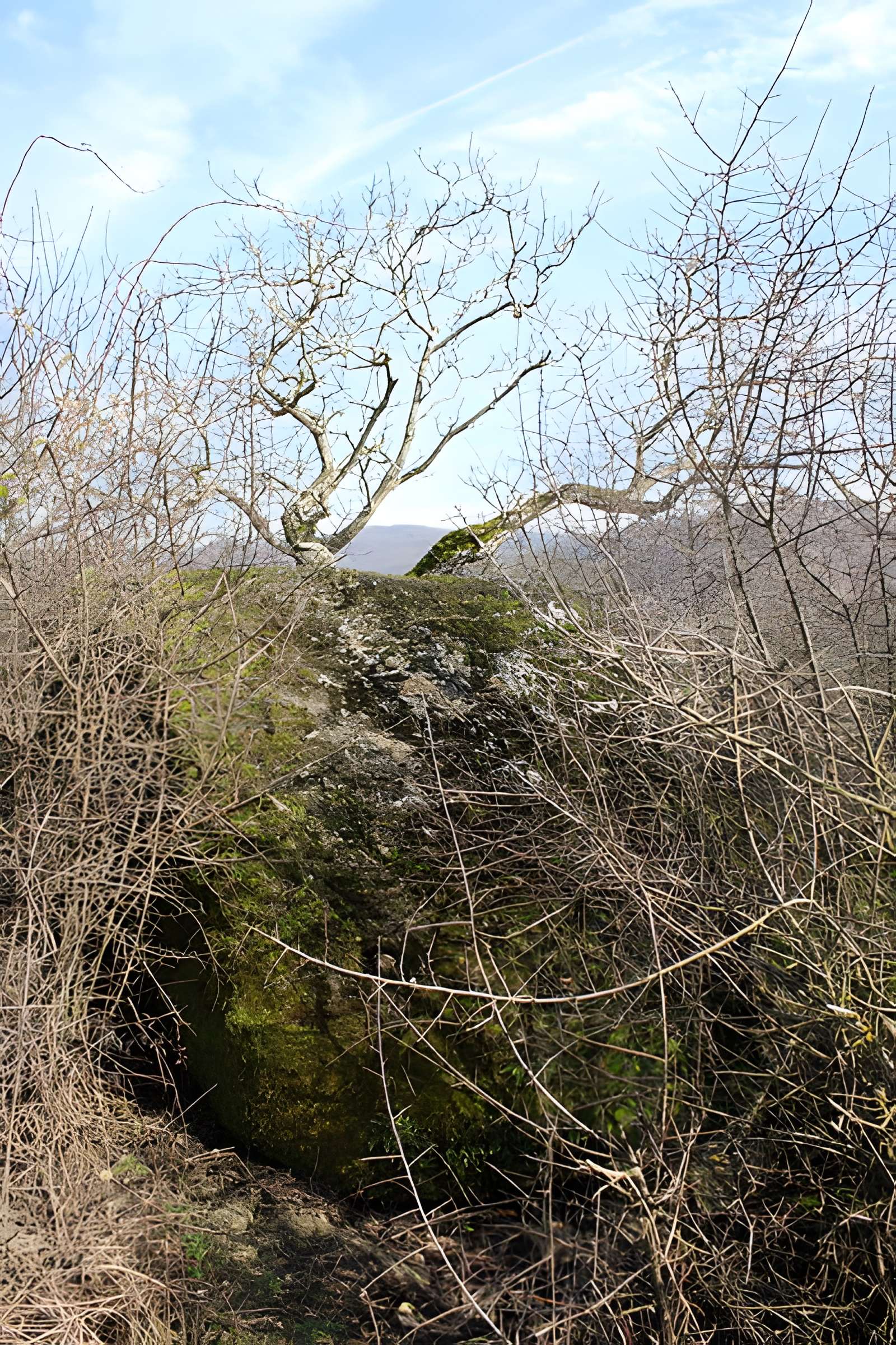 La pierre erratique de Chozeau ou meulière dite La Chaise du Seigneur