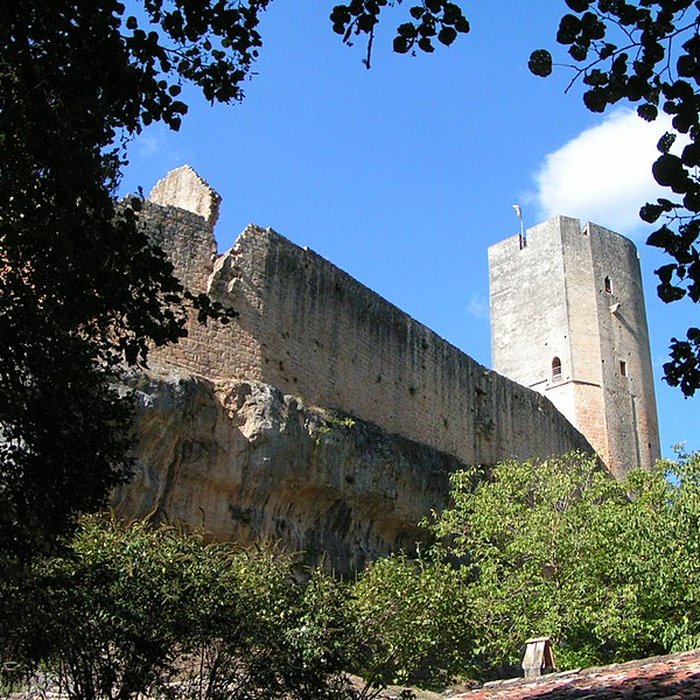 Photo de Château de Gavaudun
