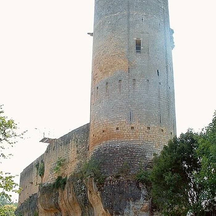 Photo de Château de Gavaudun