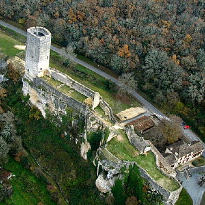 Photo de Château de Gavaudun