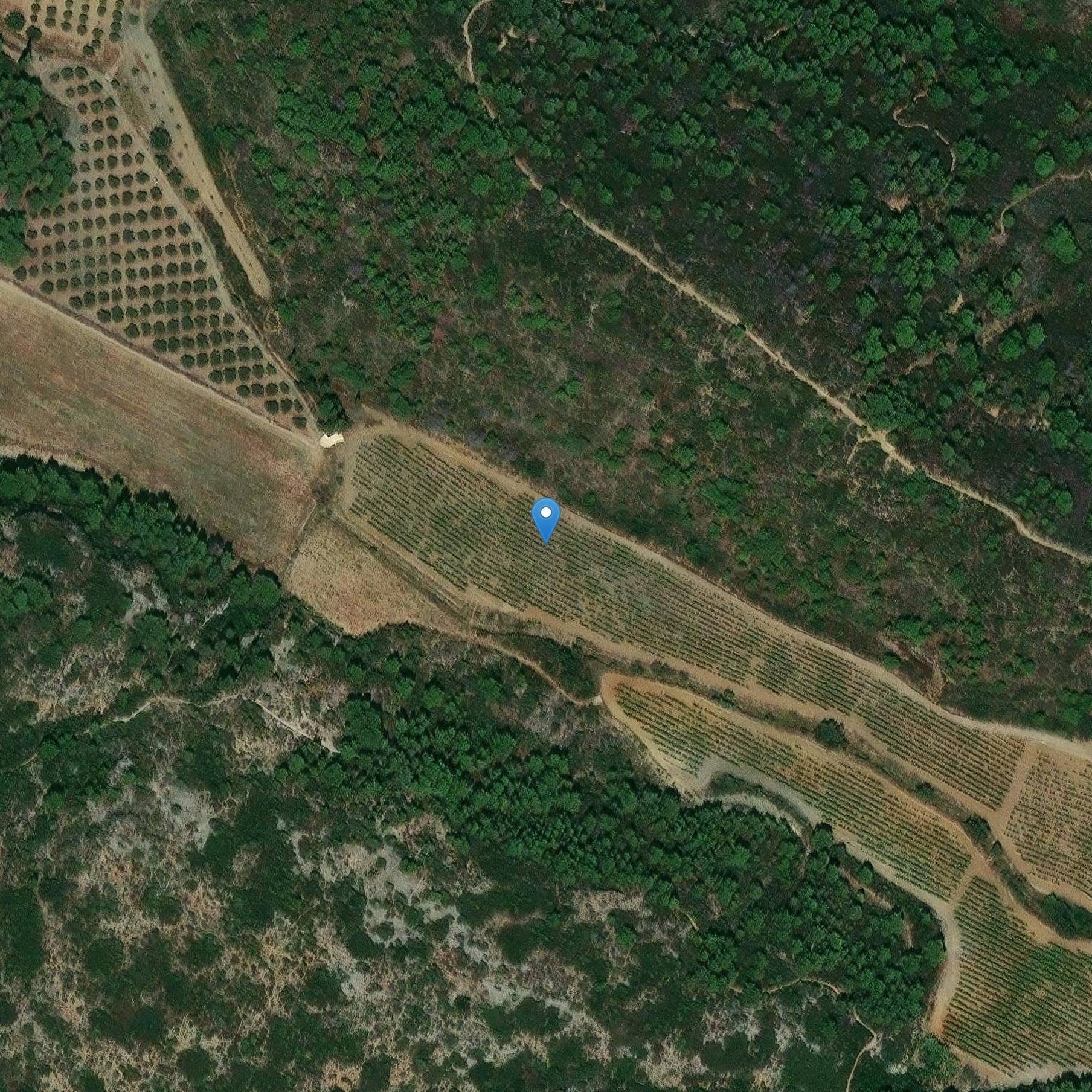 Photo de Iglesia de San Martín de Roquefort-des-Corbières