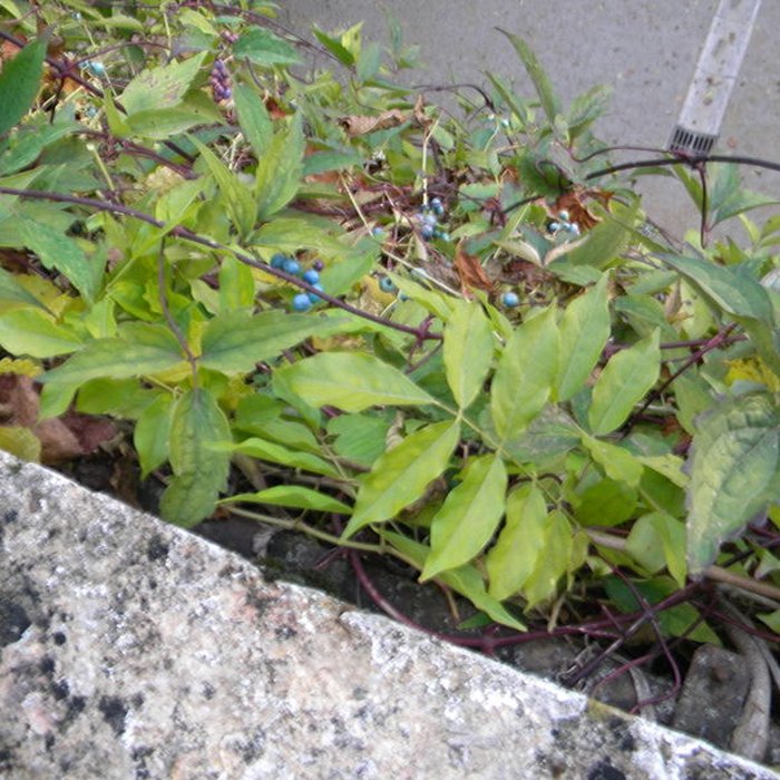 Photo de Château de Germolles