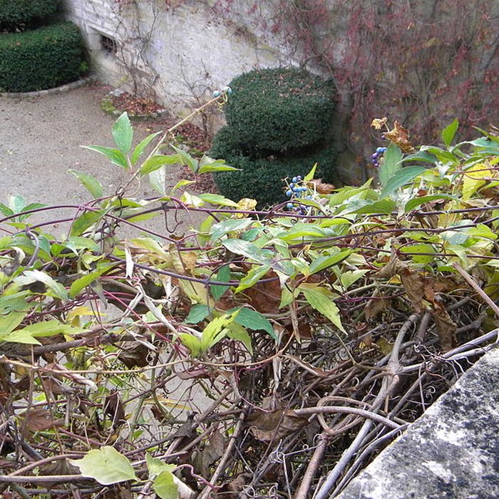 Photo de Château de Germolles