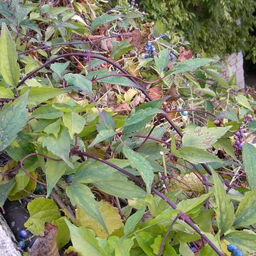 Château de Germolles