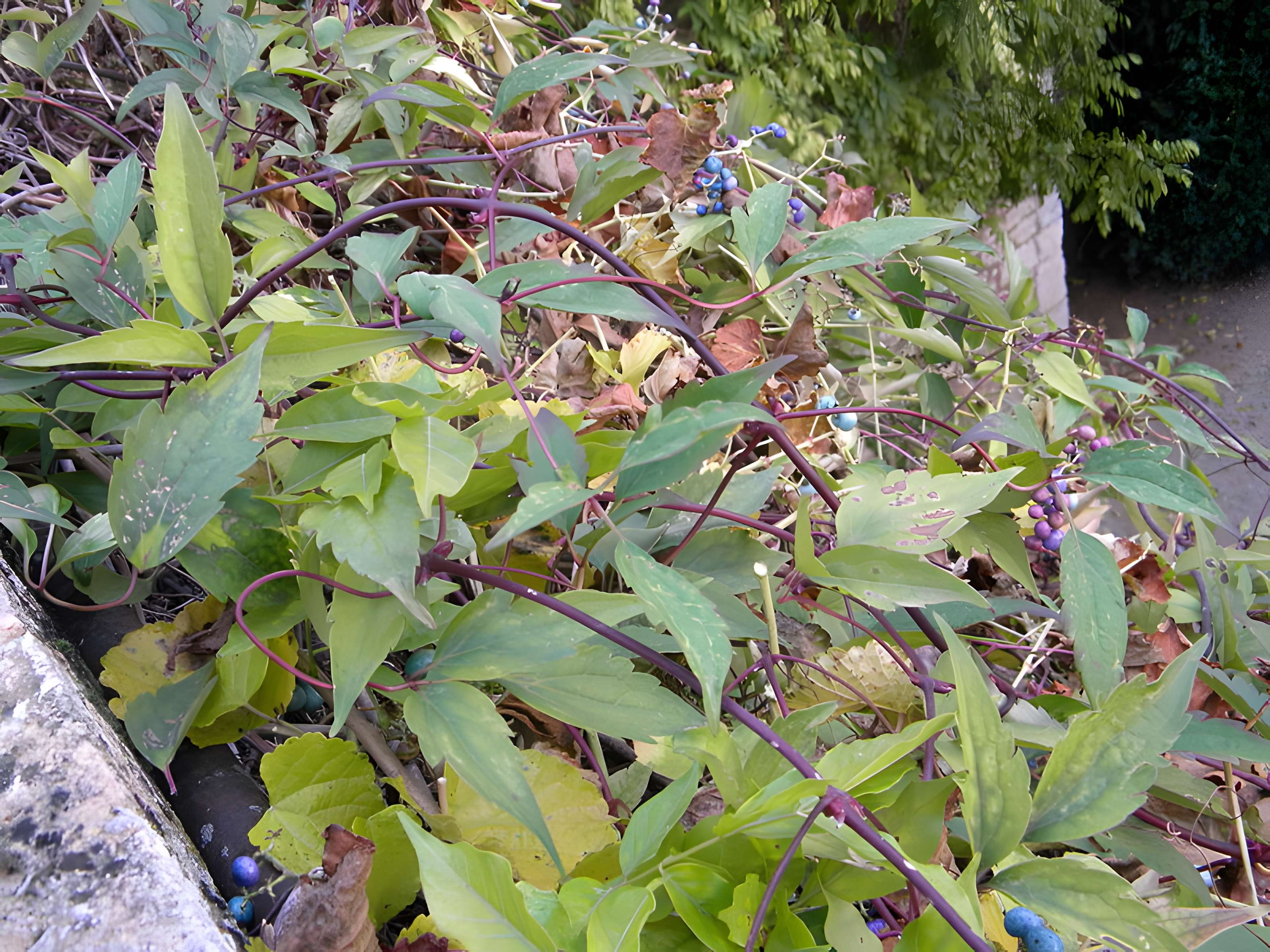 Château de Germolles