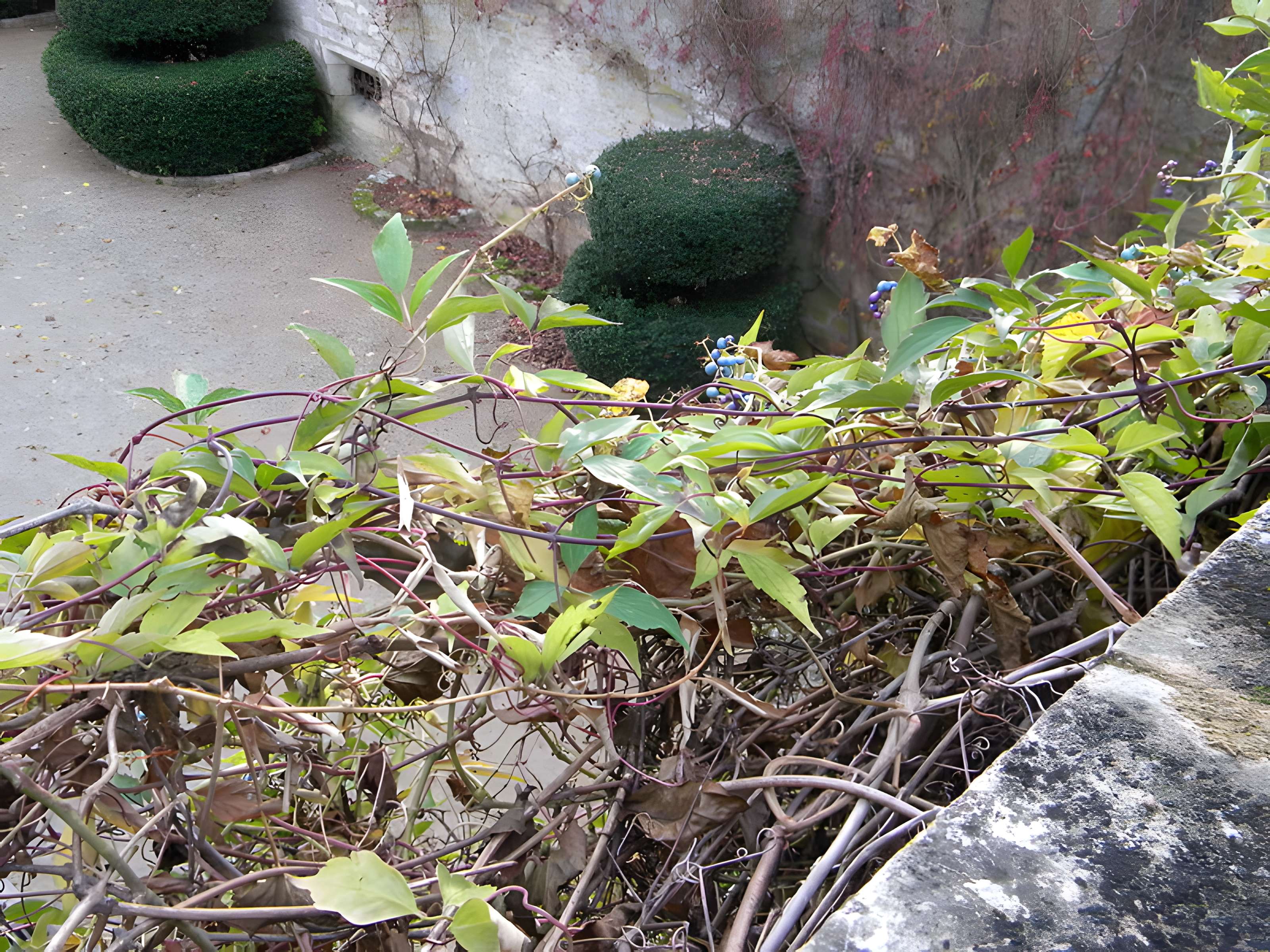 Château de Germolles