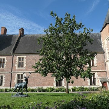 Château-Musée de Gien, Chasse, Histoire  et Nature