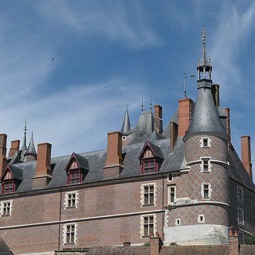 Château-Musée de Gien, Chasse, Histoire  et Nature