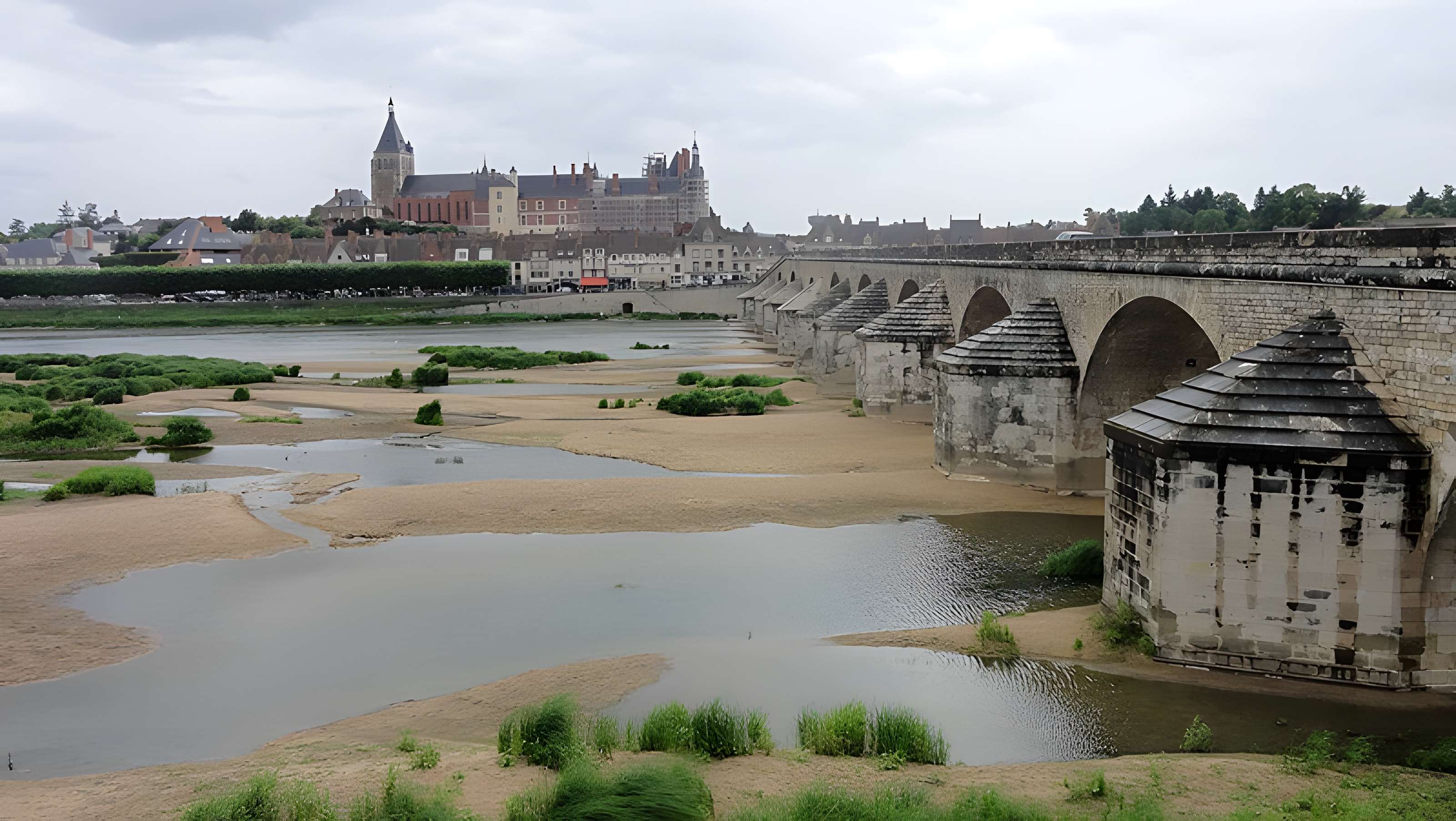 Château-Musée de Gien, Chasse, Histoire  et Nature