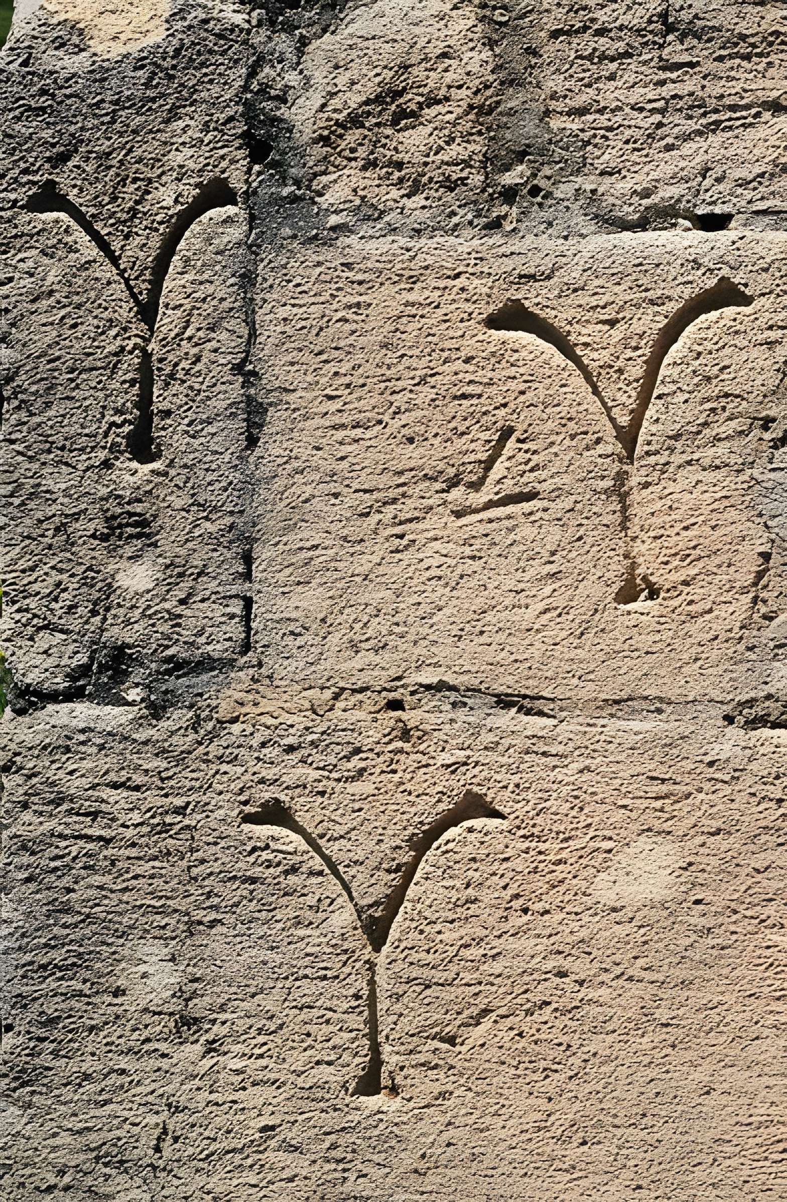 Chapelle du Saint-Sépulcre de Beaumont-du-Ventoux