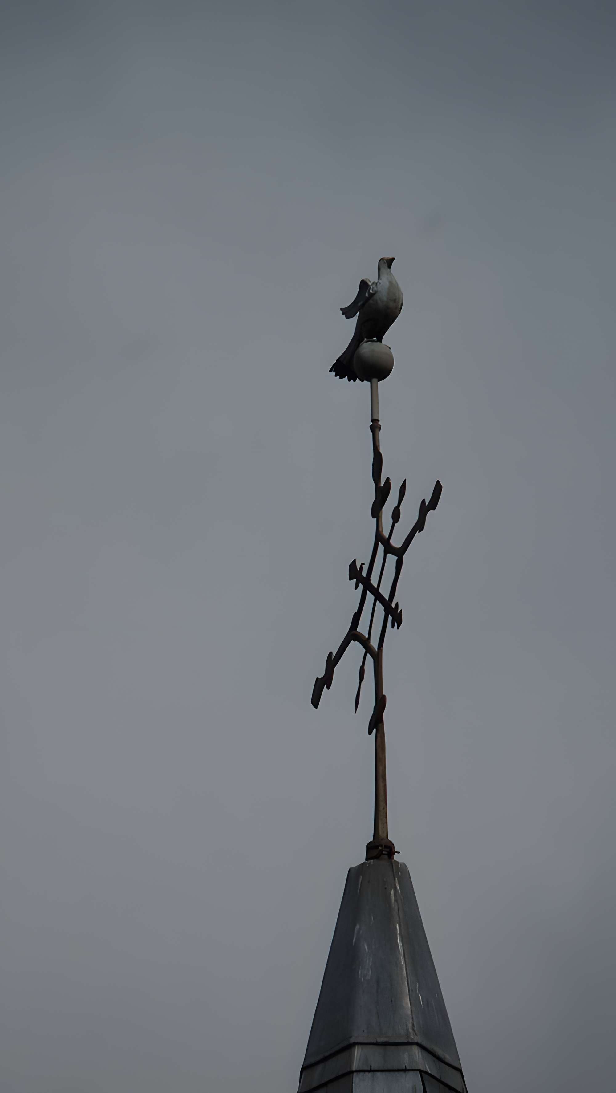 Chapelle Notre-Dame de Montplacé