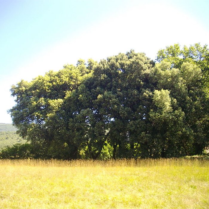 Photo de Chapelle Notre-Dame de Spéluque à Ampus