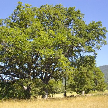 Chapelle Notre-Dame de Spéluque à Ampus