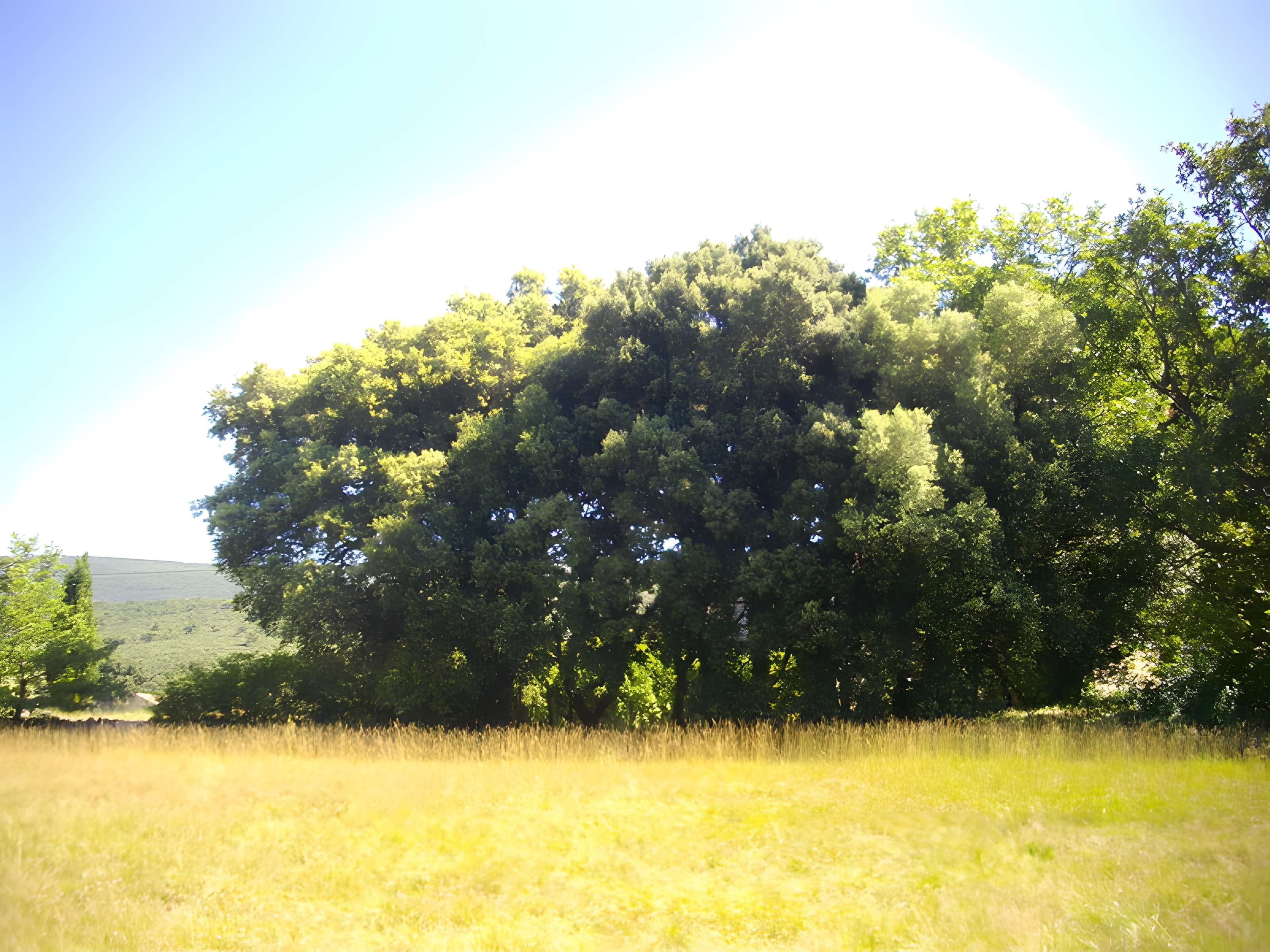 Chapelle Notre-Dame de Spéluque à Ampus
