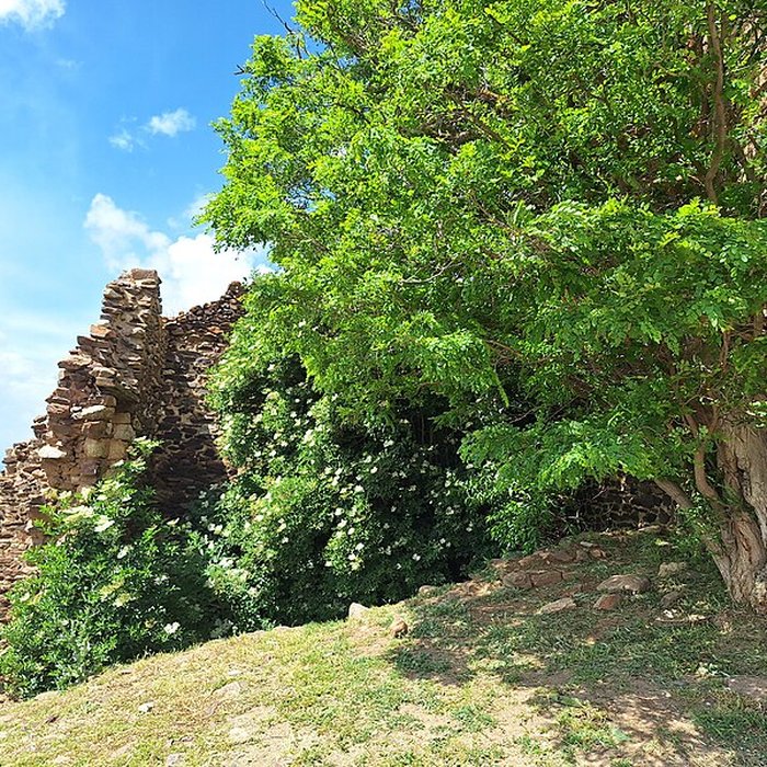 Photo de Chapelle Notre-Dame-de-Belloch ou chapelle de Bailloc ou Belloc