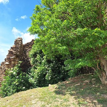 Chapelle Notre-Dame-de-Belloch ou chapelle de Bailloc ou Belloc