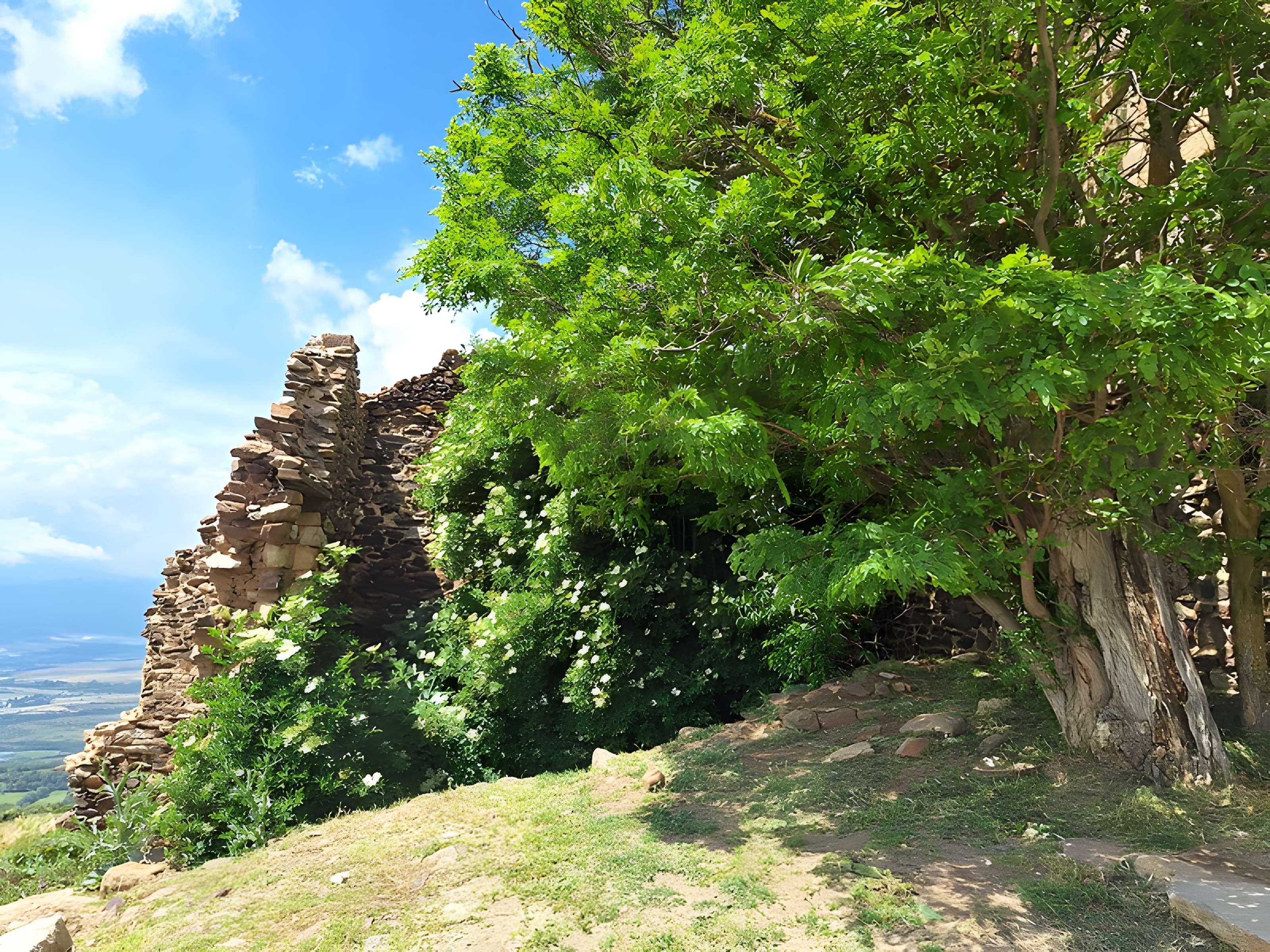 Chapelle Notre-Dame-de-Belloch ou chapelle de Bailloc ou Belloc