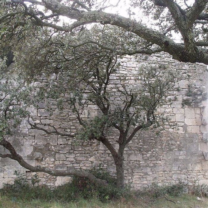 Photo de Chapelle Notre-Dame-de-Romanin, ou Notre-Dame-de-Pierargues ou Piargues