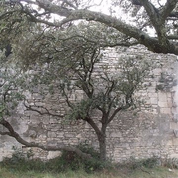 Chapelle Notre-Dame-de-Romanin, ou Notre-Dame-de-Pierargues ou Piargues