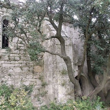 Chapelle Notre-Dame-de-Romanin, ou Notre-Dame-de-Pierargues ou Piargues