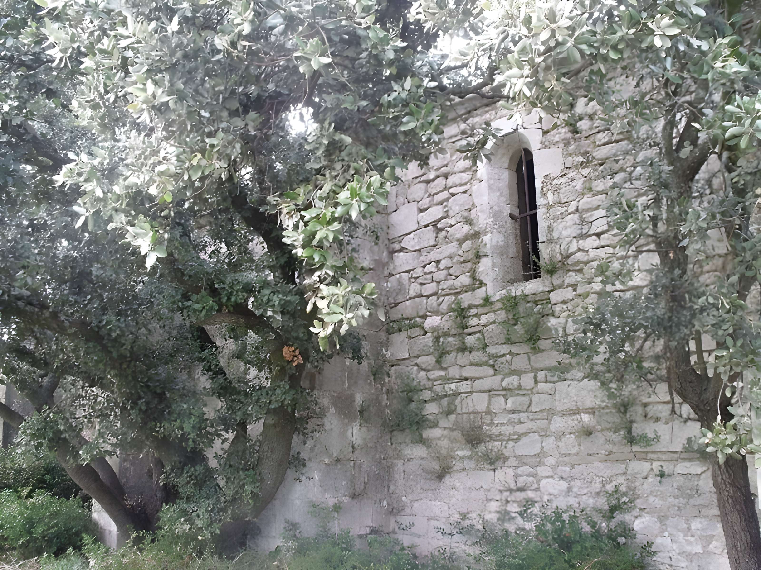 Chapelle Notre-Dame-de-Romanin, ou Notre-Dame-de-Pierargues (ou Piargues)