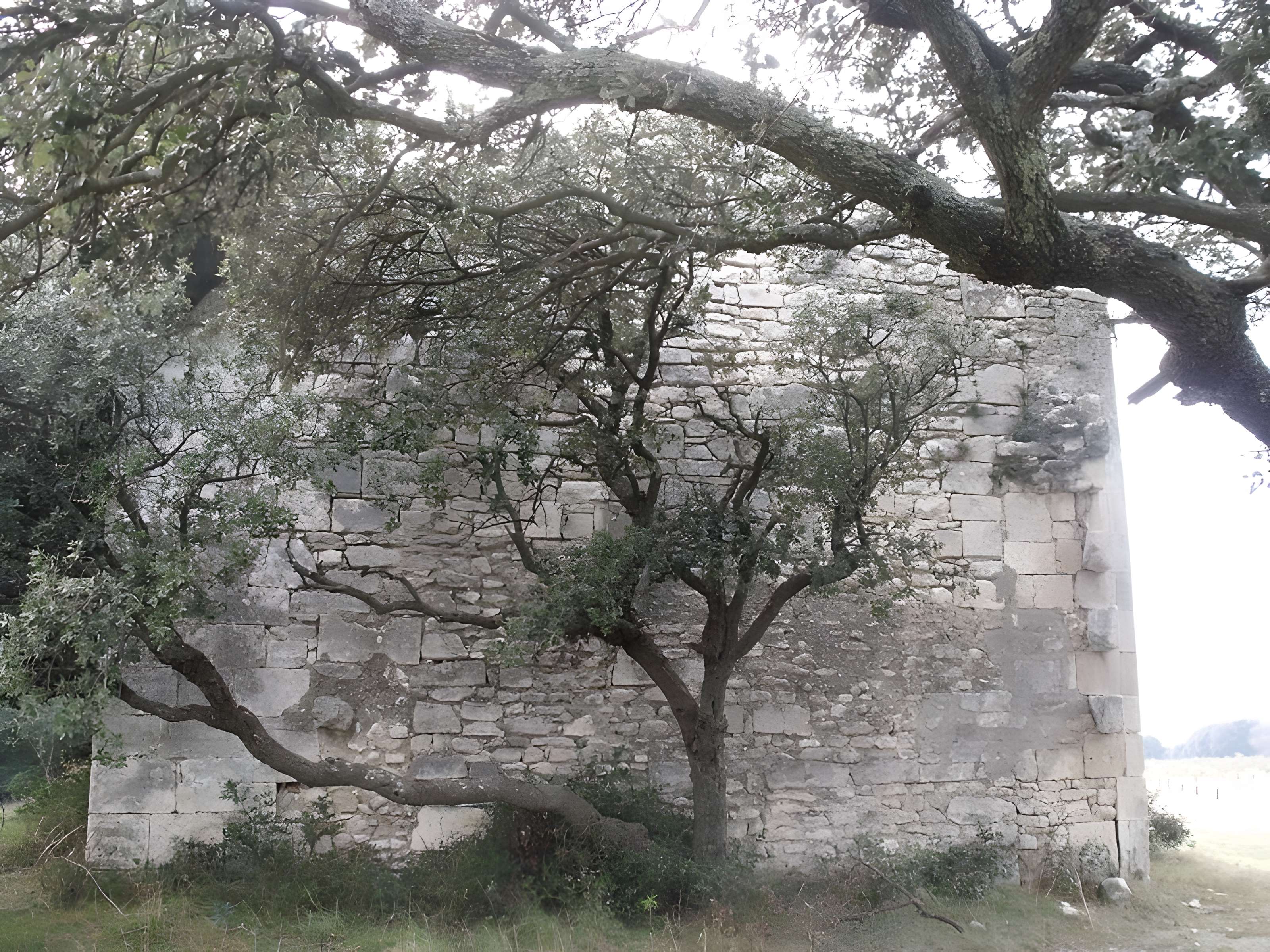 Chapelle Notre-Dame-de-Romanin, ou Notre-Dame-de-Pierargues (ou Piargues)
