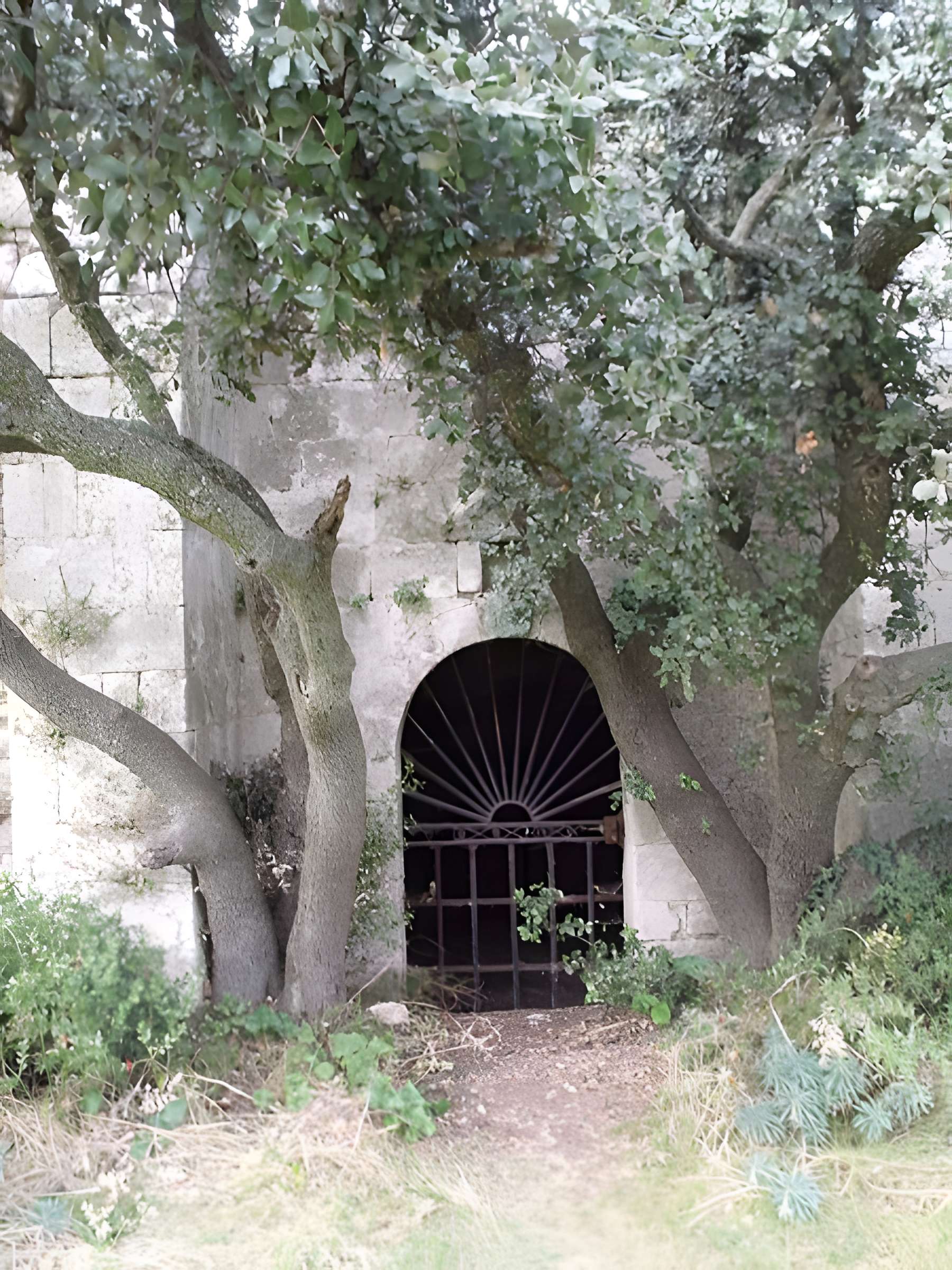 Chapelle Notre-Dame-de-Romanin, ou Notre-Dame-de-Pierargues (ou Piargues)