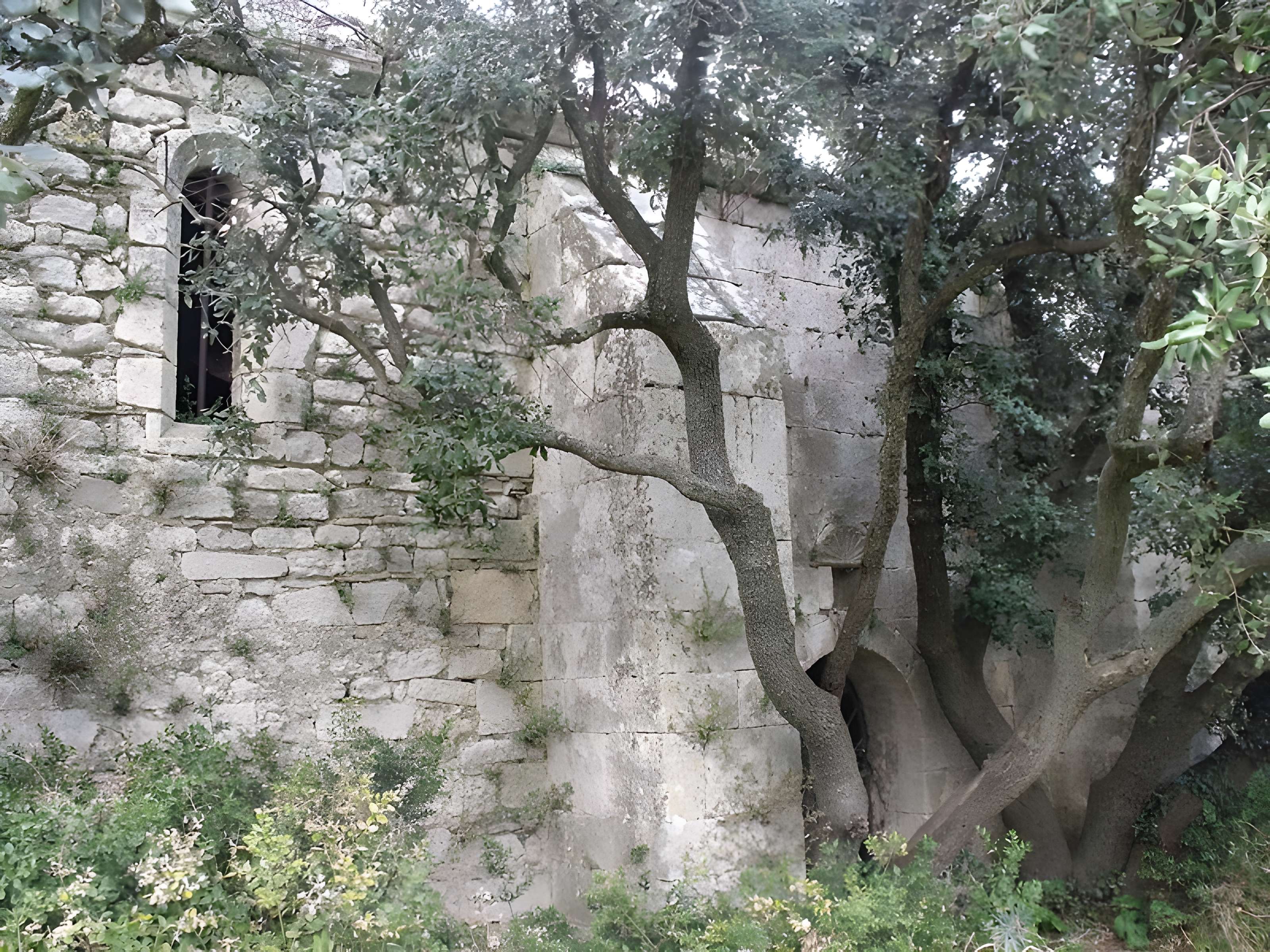Chapelle Notre-Dame-de-Romanin, ou Notre-Dame-de-Pierargues (ou Piargues)