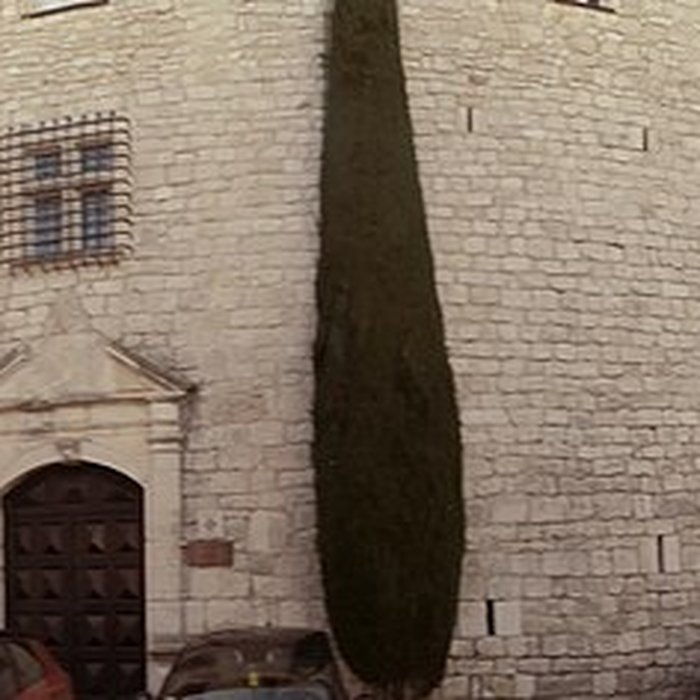 Photo de Château de Gourdon
