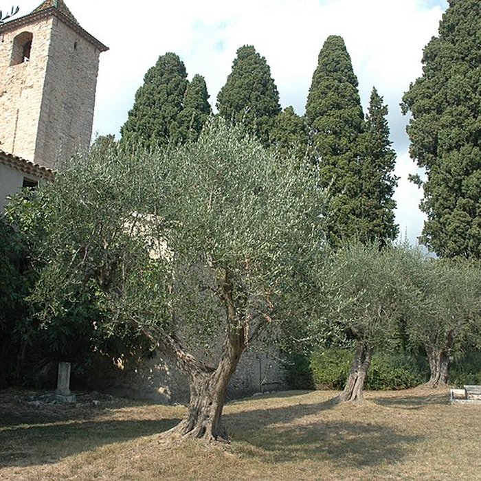 Photo de Chapelle Notre-Dame-de-Vie de Mougins