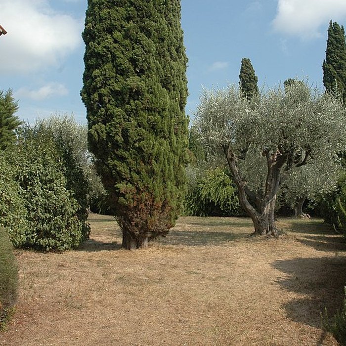 Photo de Chapelle Notre-Dame-de-Vie de Mougins