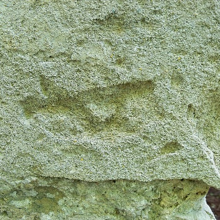 Photo de Chapelle Notre-Dame-du-Groseau de Malaucène