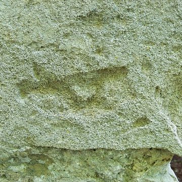 Chapelle Notre-Dame-du-Groseau de Malaucène