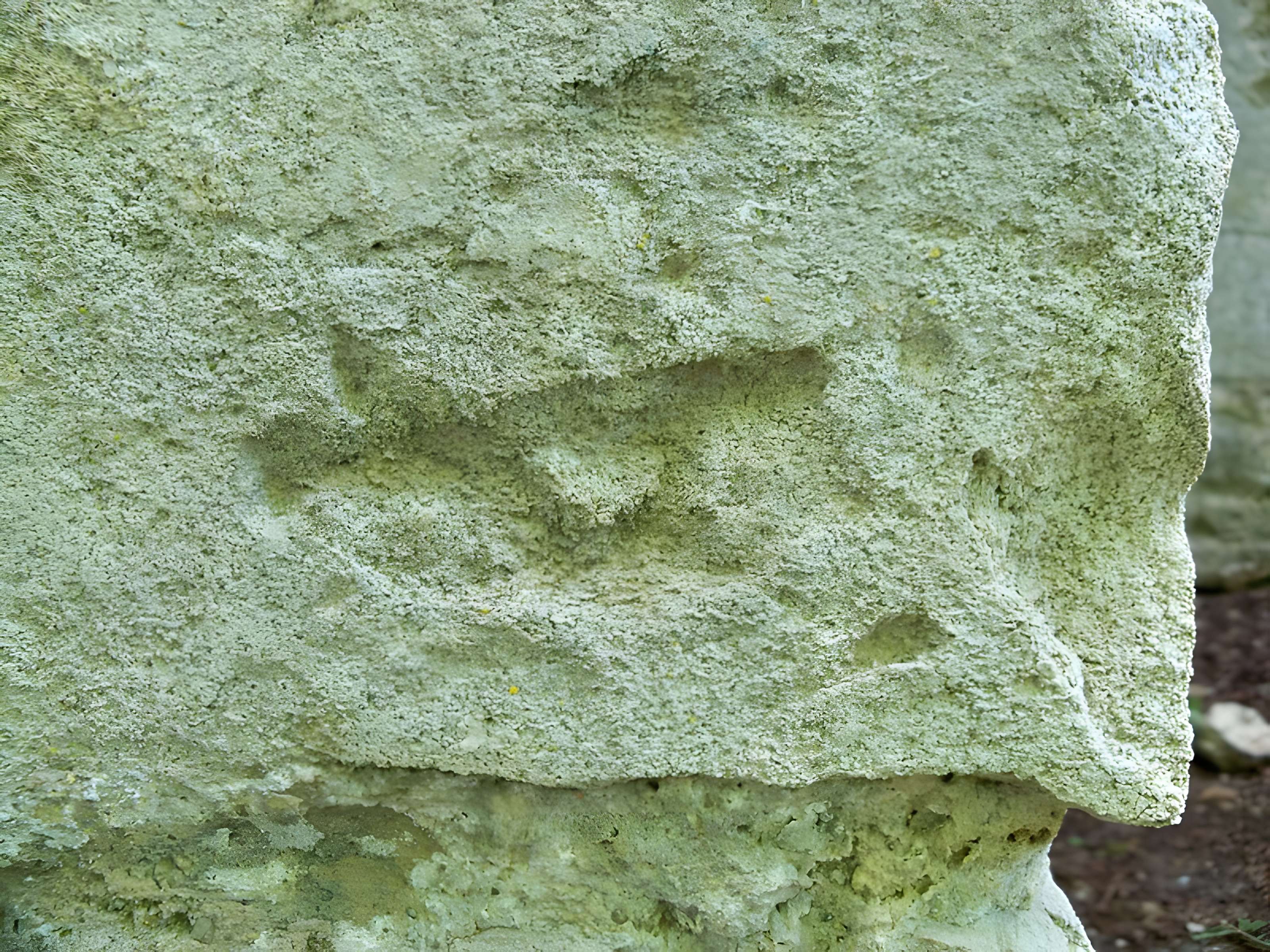 Chapelle Notre-Dame-du-Groseau de Malaucène